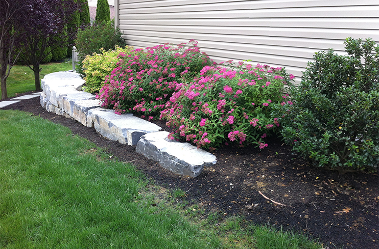 spring flowers in garden bed, plan your spring project