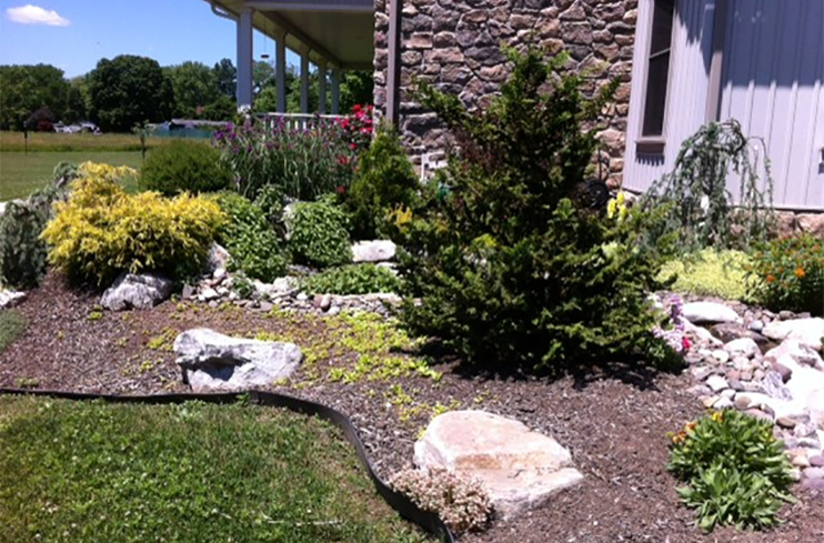 Landscape with mulch and plants installed by Diebolt Landscape