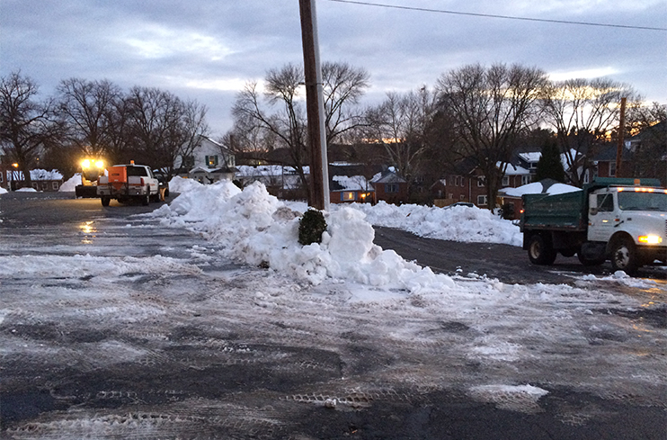 lawn care in winter, lawn maintenance